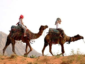 best pushkar tour packages