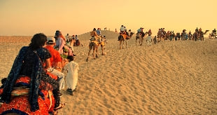 Desert of Rajasthan 03